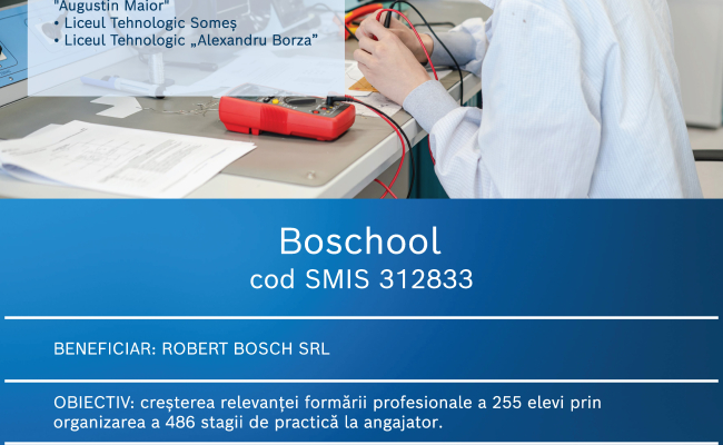 alt_bosch_school